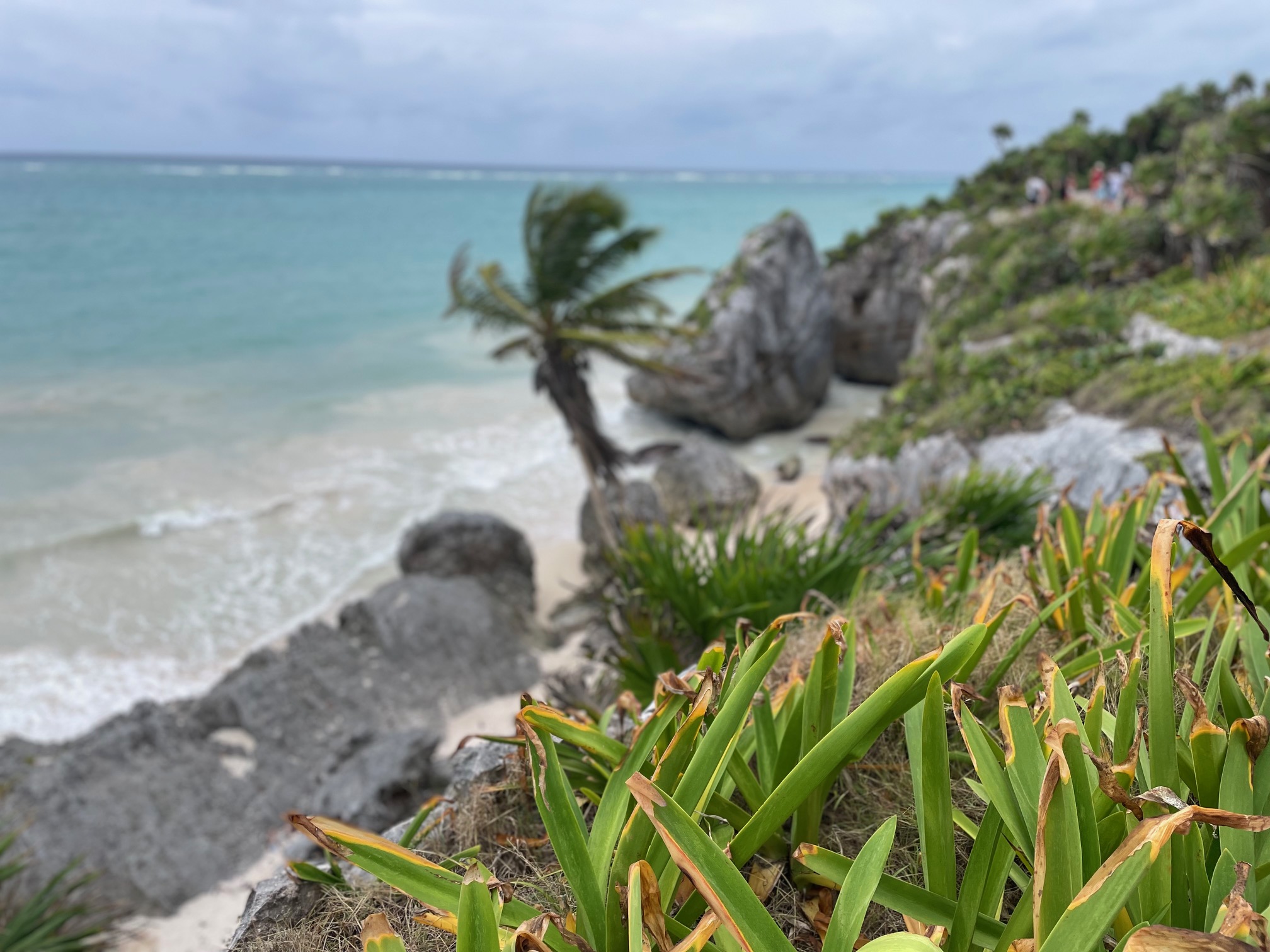 Természet, tenger, szabadság