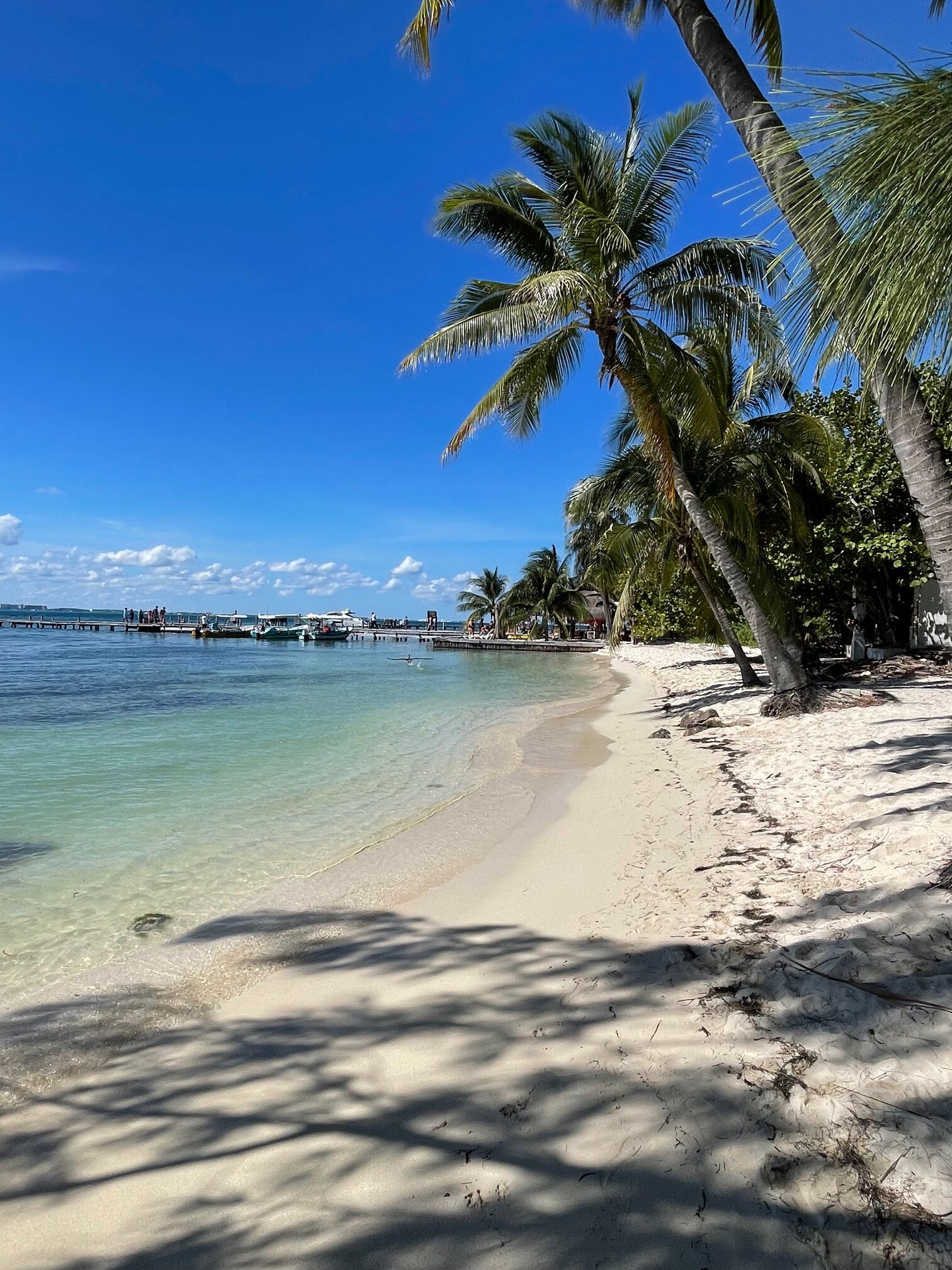 Természet, tenger, szabadság